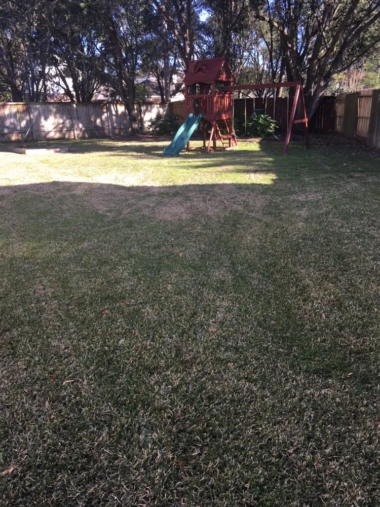 Affordable yard maintenance in Arlington, TX by 2 Guys and a Goat Lawn Services