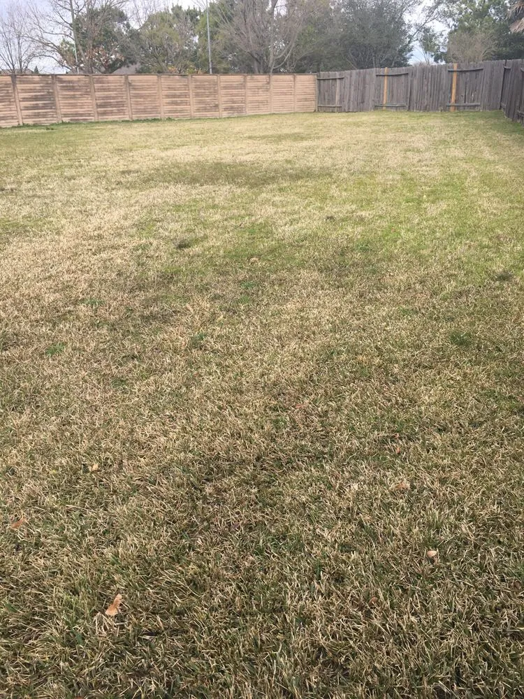 Reliable landscaping services for outdoor upgrades across Arlington, TX - 2 Guys and a Goat Lawn Services