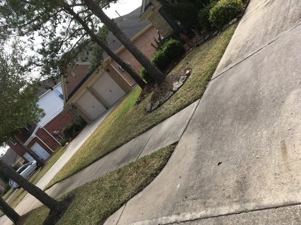 Local yard cleanup service in Arlington, TX - 2 Guys and a Goat Lawn Services