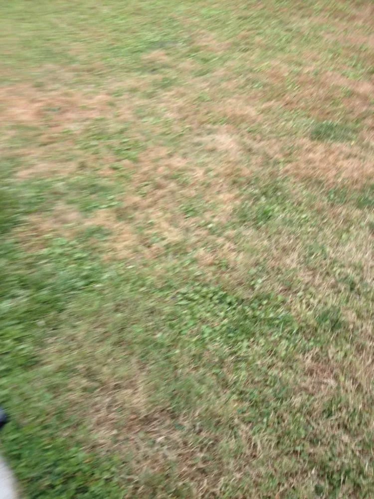 Professional lawn mowing service in Arlington, TX - 2 Guys and a Goat Lawn Services