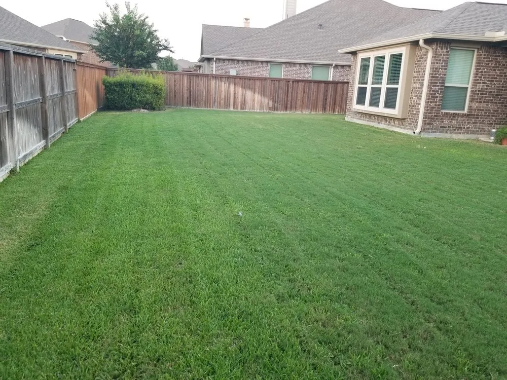 Affordable lawn care service for homes across Arlington, TX - 2 Guys and a Goat Lawn Services