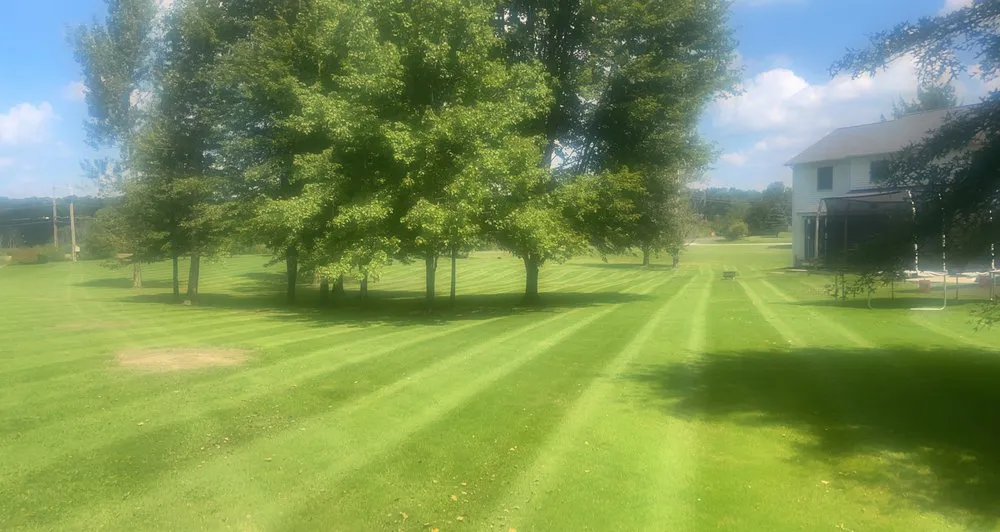 Custom yard cleanup service for beautiful yards in Chardon, OH by 2 Guys and A Weedwacker