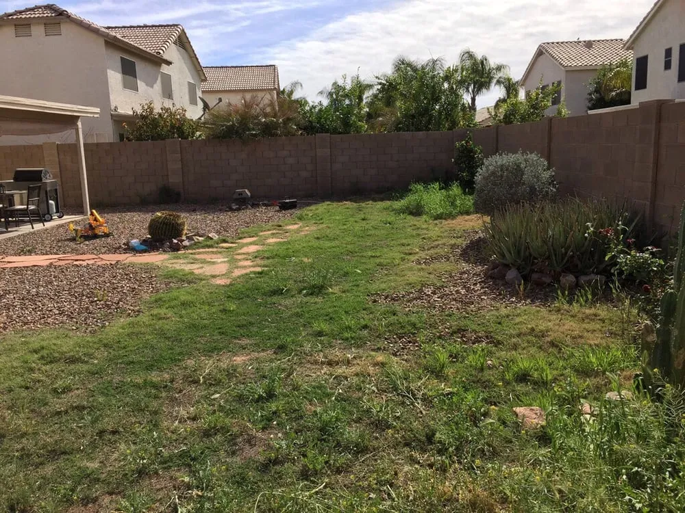 Expert lawn care service in Tempe, AZ by 2 Guys Landscaping