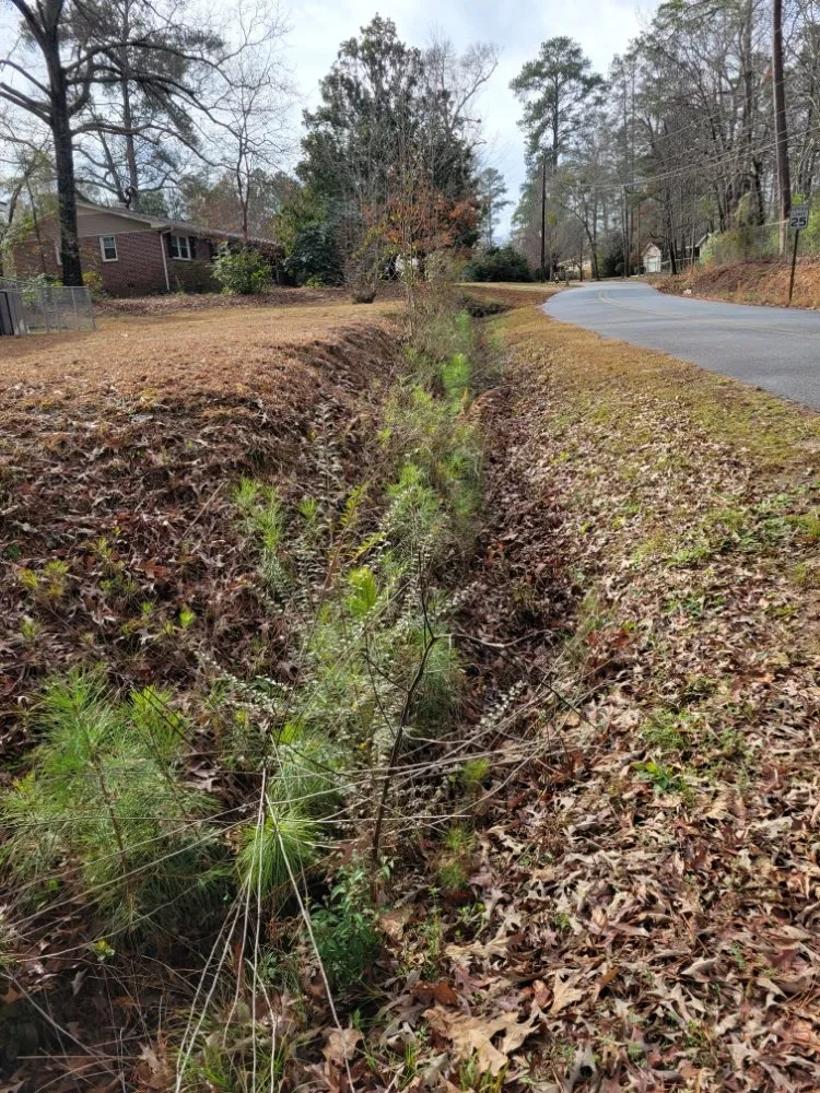 Top-rated residential landscaping for residential properties across Fort Valley, GA - 2 Guys Lawn Care