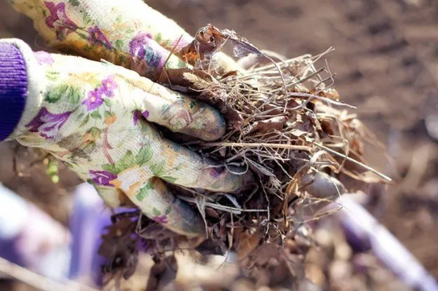 Custom lawn mowing service for outdoor upgrades in Hilliard, OH by 2 Guys Lawn Care