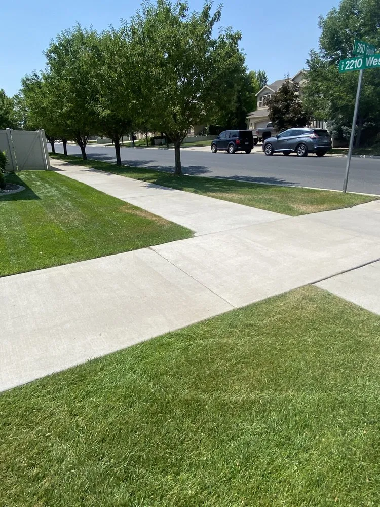 Expert yard maintenance in Pleasant Grove, UT by 2 Guys Lawn Care