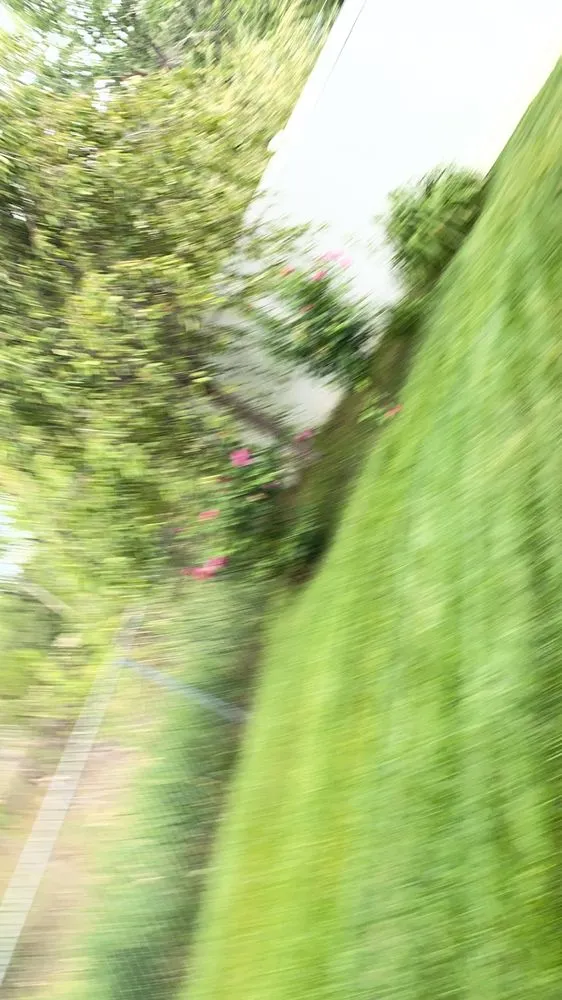 Affordable garden landscaping experts serving Pleasant Grove, UT - 2 Guys Lawn Care