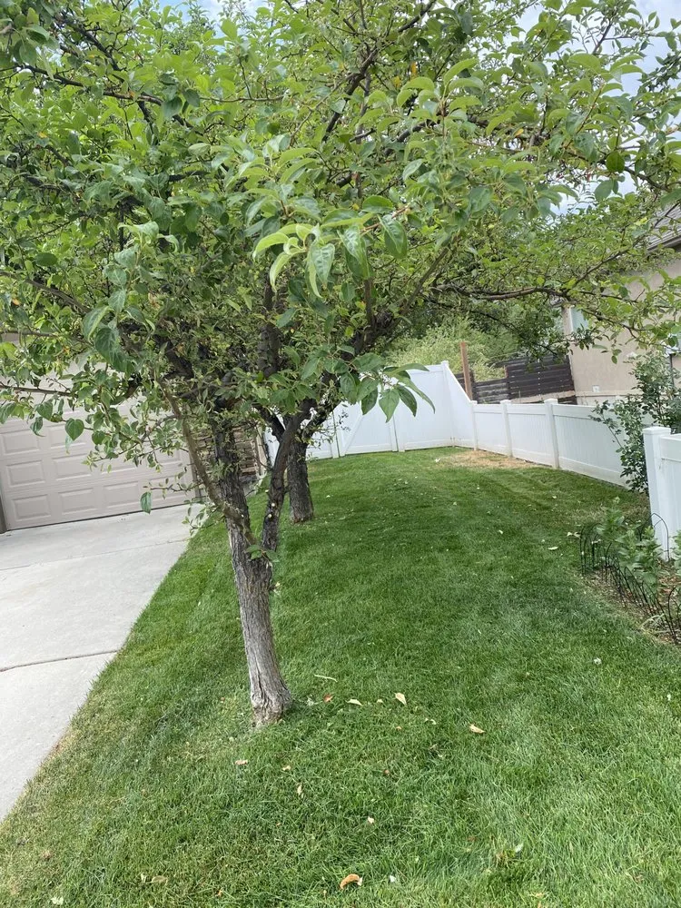 Reliable landscape installation for residential properties in Pleasant Grove, UT by 2 Guys Lawn Care