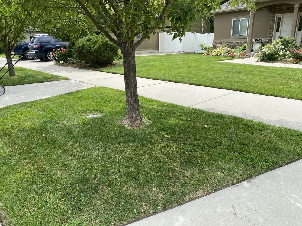 Top-rated residential landscaping in Pleasant Grove, UT - 2 Guys Lawn Care