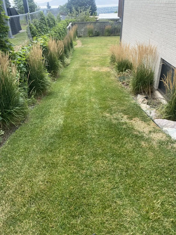 Expert landscape design in Pleasant Grove, UT by 2 Guys Lawn Care