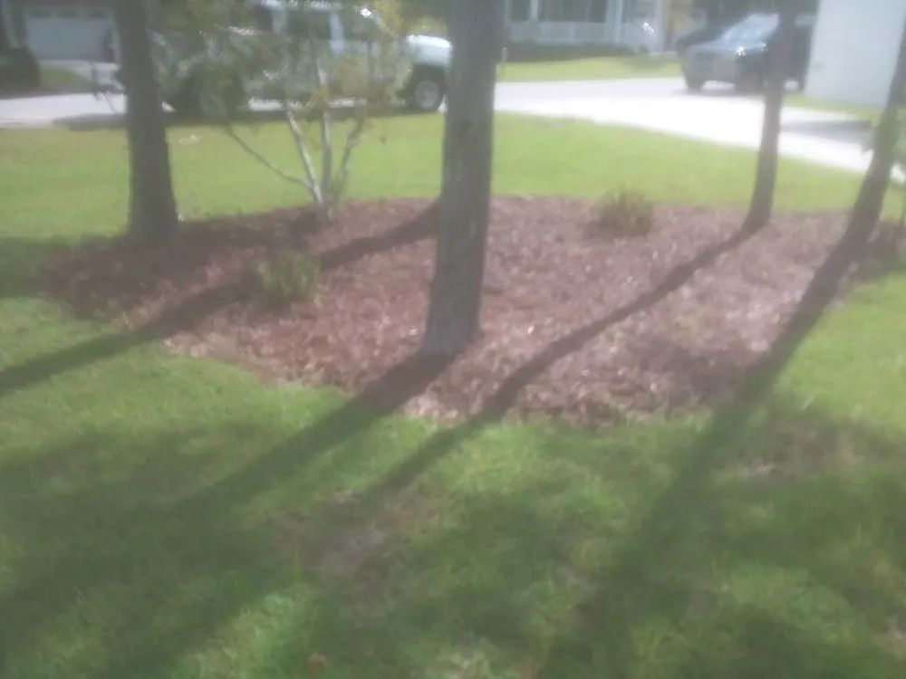Affordable residential landscaping in Wilmington, NC by 2 Guyz Hauling Services