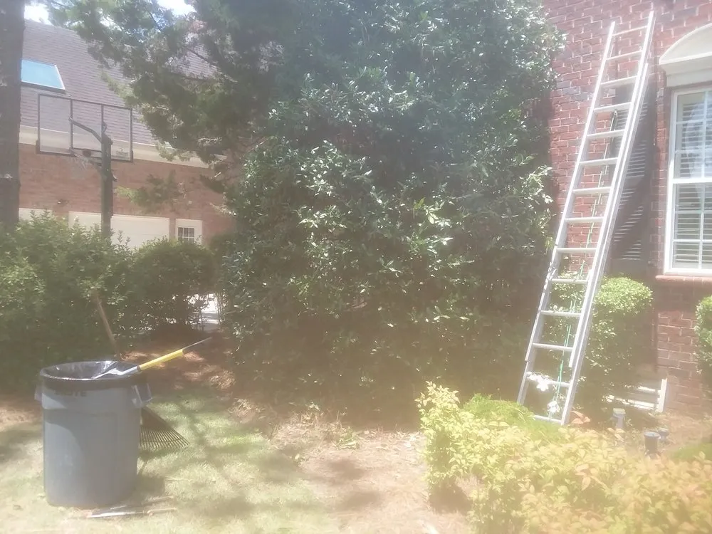 Reliable yard maintenance in Wilmington, NC by 2 Guyz Hauling Services