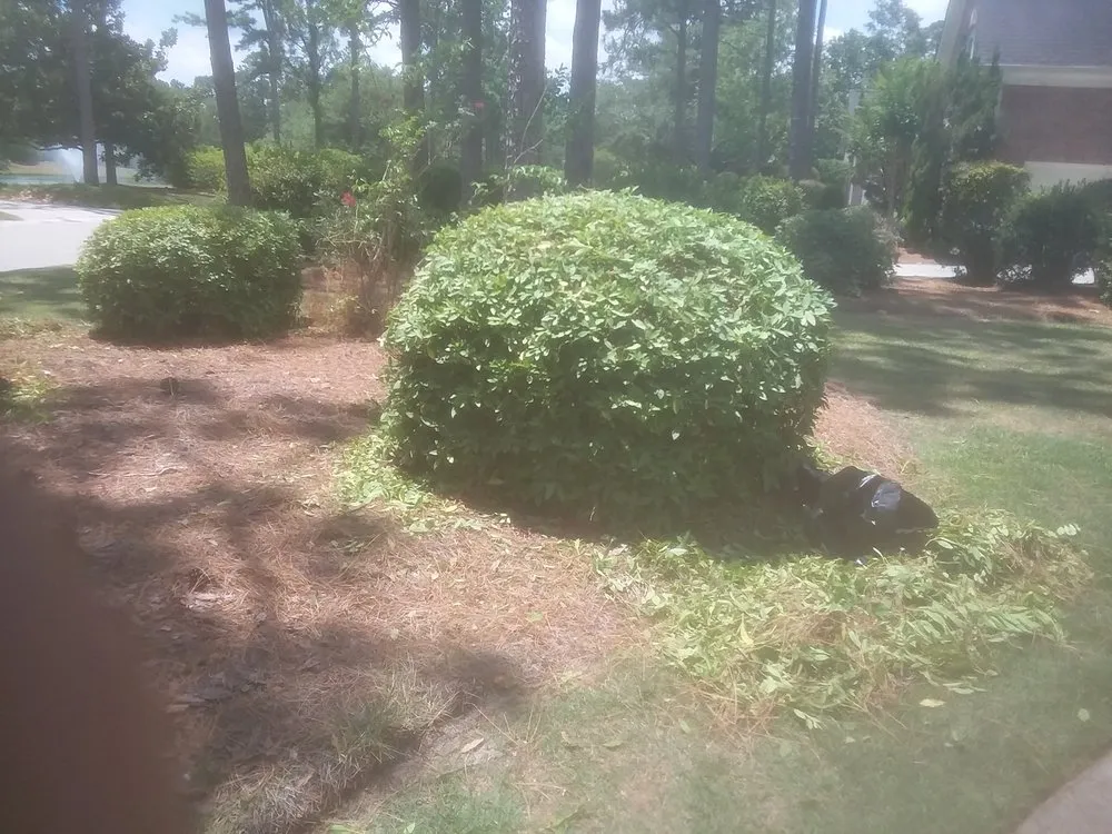 Expert landscape design for outdoor upgrades across Wilmington, NC - 2 Guyz Hauling Services