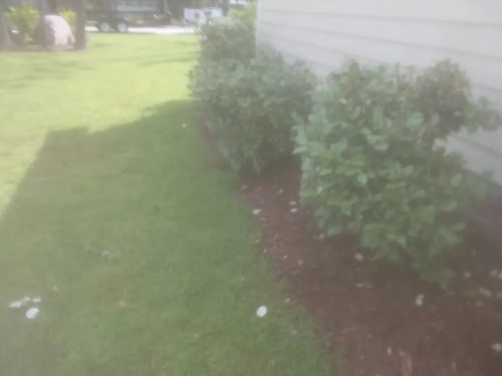 Professional landscaping services in Wilmington, NC - 2 Guyz Hauling Services