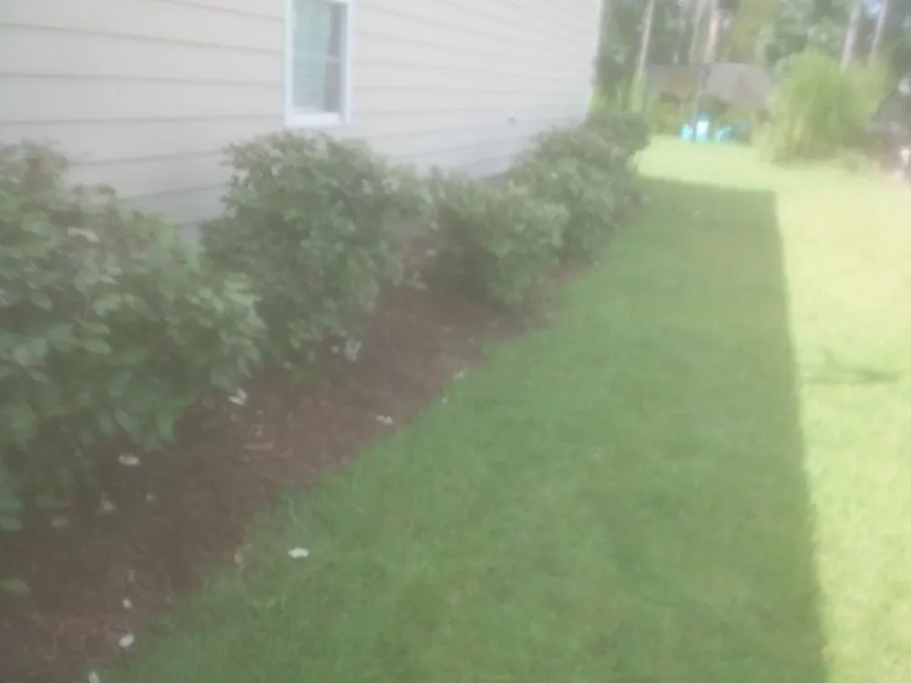 Custom yard maintenance for residential properties in Wilmington, NC by 2 Guyz Hauling Services