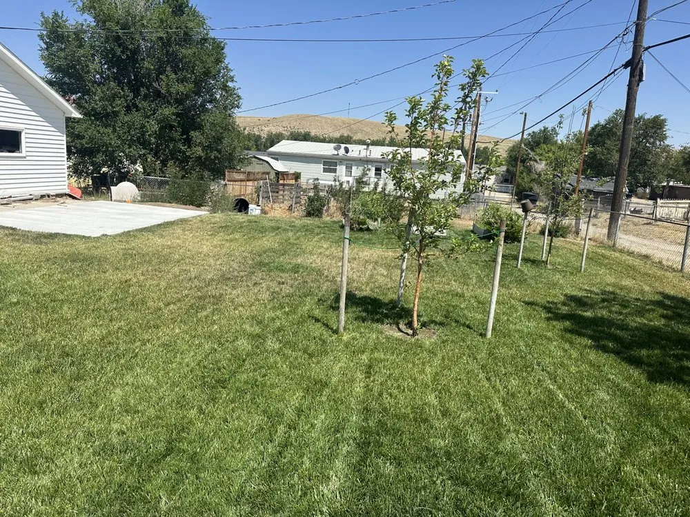 Professional landscape installation in Casper, WY - 2 Hands Oilfield