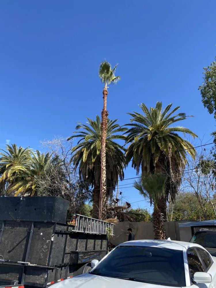 Expert yard maintenance with custom design in Chandler, AZ by 2 Hernandez Landscaping