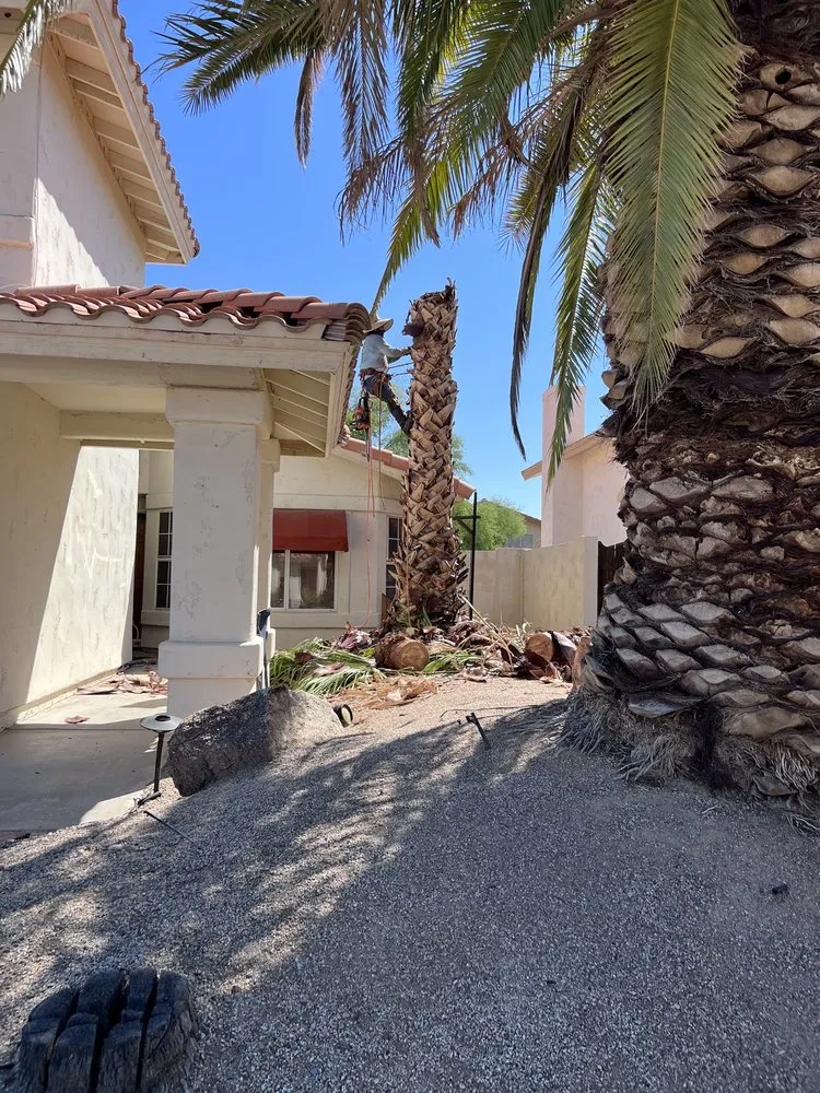 Professional residential landscaping in Chandler, AZ - 2 Hernandez Landscaping