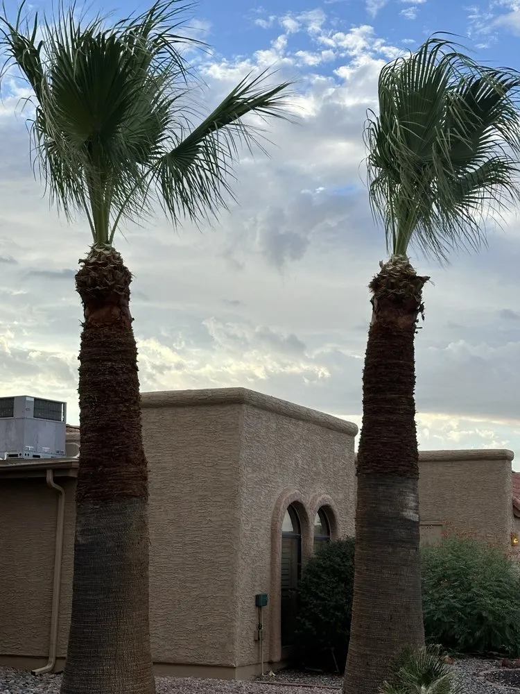 Local outdoor landscaping in Chandler, AZ - 2 Hernandez Landscaping