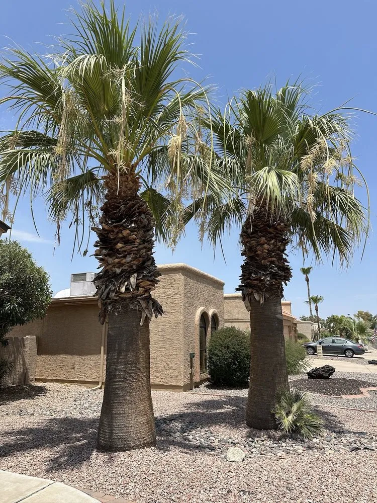 Affordable garden landscaping for homes across Chandler, AZ - 2 Hernandez Landscaping