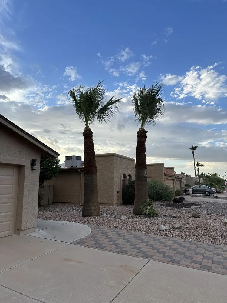 Professional landscaping services for homes in Chandler, AZ by 2 Hernandez Landscaping