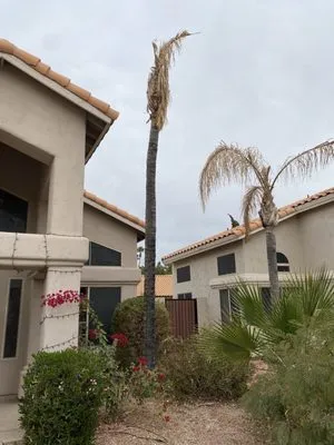 2 Hernandez Landscaping Logo