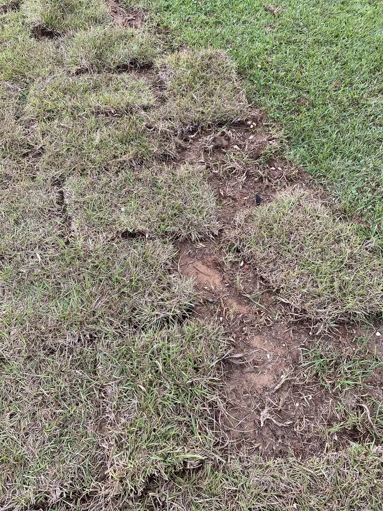 Expert lawn mowing service in Summerdale, AL - 2 Lawn Crew