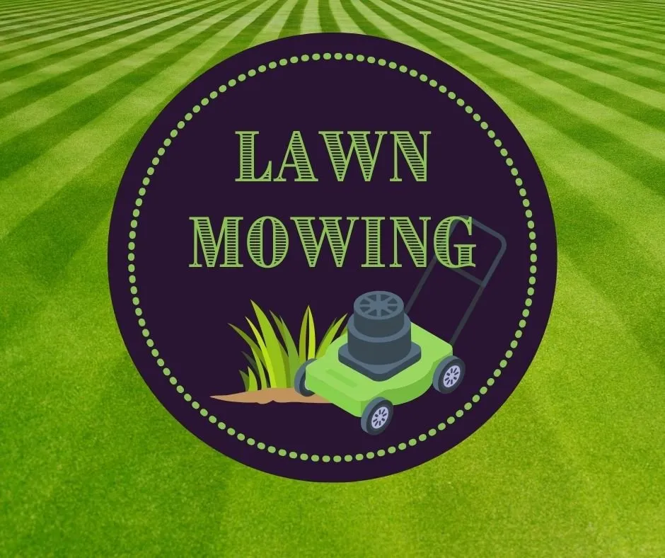 Professional lawn care service near you in Merced, CA by 2 Lawn Guys And A Lady Lawn Care