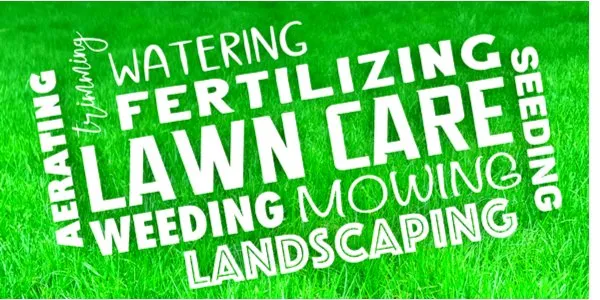 Professional outdoor landscaping for outdoor upgrades in Merced, CA by 2 Lawn Guys And A Lady Lawn Care