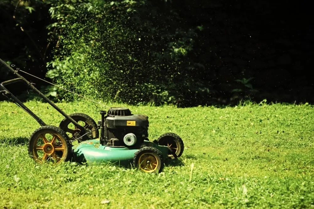 Trusted residential landscaping experts serving Merced, CA - 2 Lawn Guys And A Lady Lawn Care