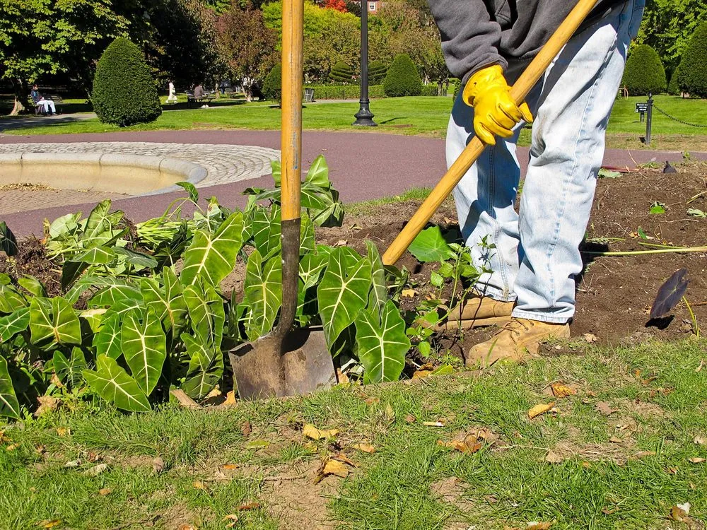Affordable landscape design experts serving Merced, CA - 2 Lawn Guys And A Lady Lawn Care