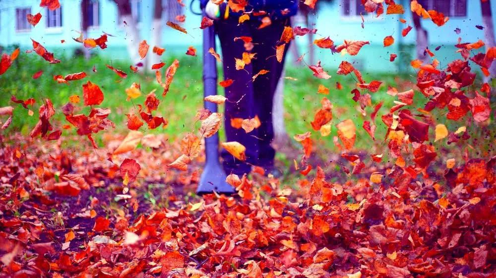 Trusted yard cleanup service for homes across Merced, CA - 2 Lawn Guys And A Lady Lawn Care