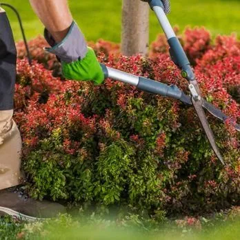 Custom landscaping services in Merced, CA - 2 Lawn Guys And A Lady Lawn Care