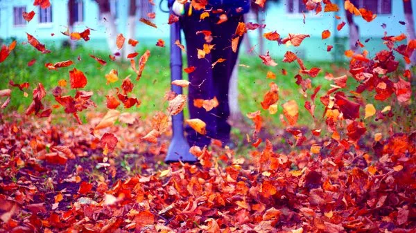 2 Lawn Guys And A Lady Lawn Care Logo