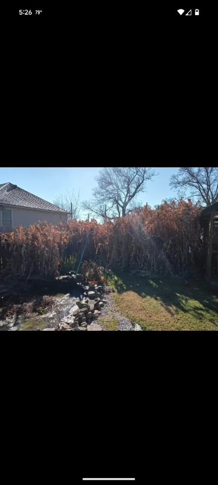 Expert garden landscaping experts serving Scott, LA - 2 Live Krew Lawn Care