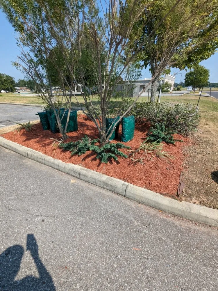 Local landscaping services for residential properties across Scott, LA - 2 Live Krew Lawn Care