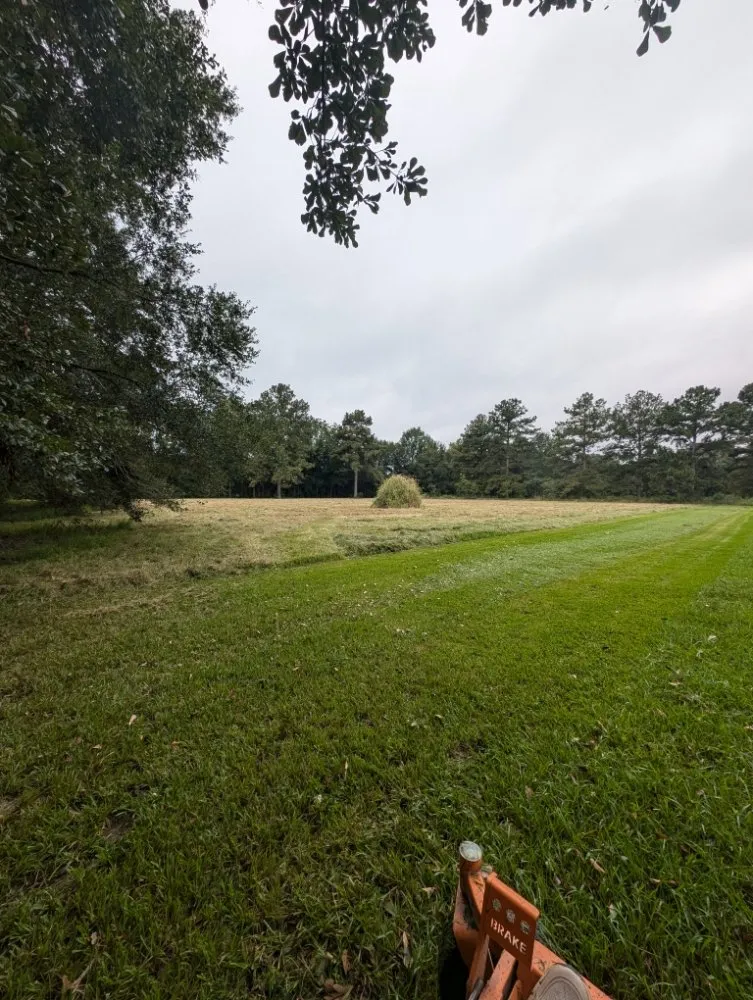 Trusted landscape installation for year-round maintenance across Scott, LA - 2 Live Krew Lawn Care