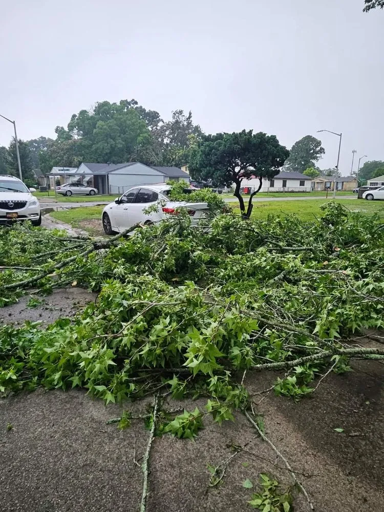 Affordable garden landscaping in Scott, LA - 2 Live Krew Lawn Care