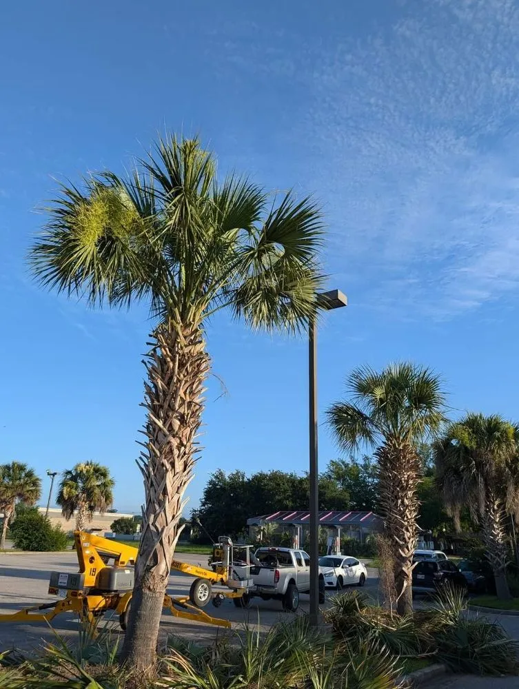 Affordable lawn mowing service experts serving Scott, LA - 2 Live Krew Lawn Care