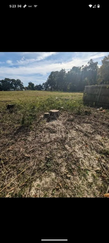 Custom landscape installation in Scott, LA - 2 Live Krew Lawn Care