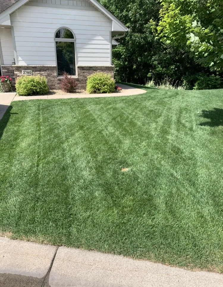 Expert yard maintenance with custom design across Blaine, MN - 2 Man Lawn Care