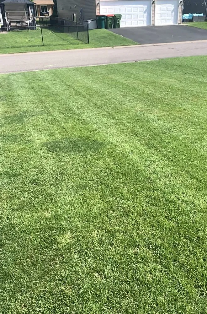 Local lawn care service for residential properties in Blaine, MN by 2 Man Lawn Care