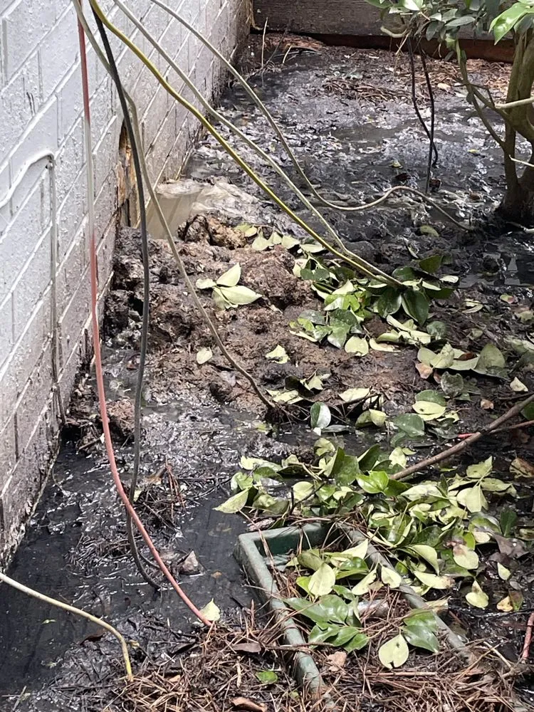 Professional landscape design in East Point, GA - 2 Men A Truck And A Trailer