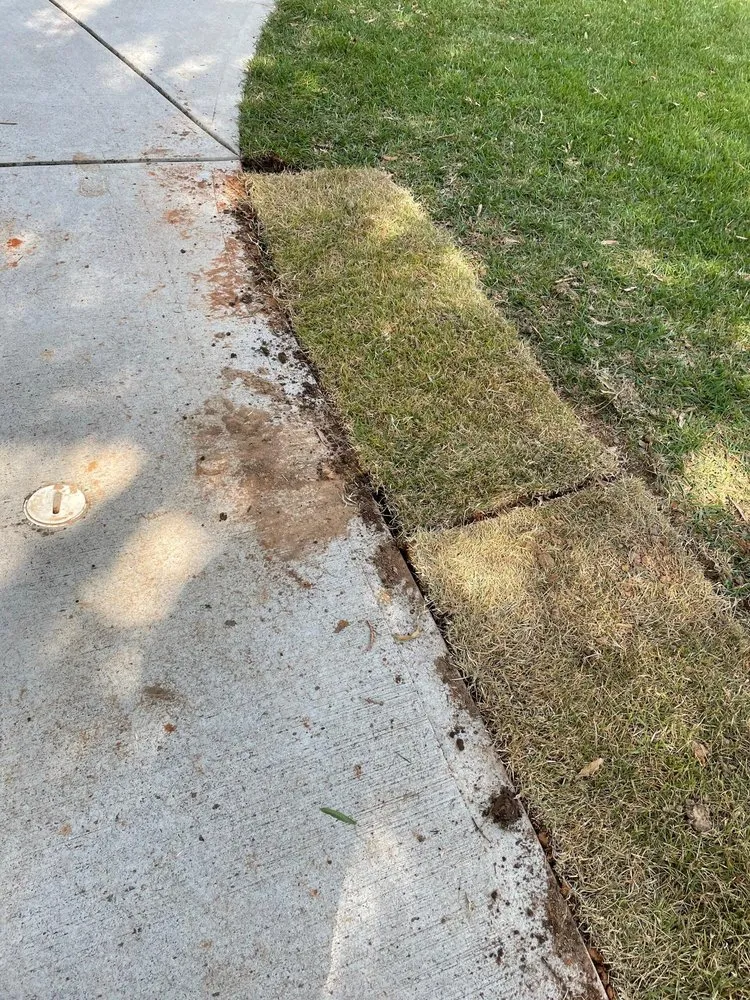 Custom yard cleanup service for homes across East Point, GA - 2 Men A Truck And A Trailer