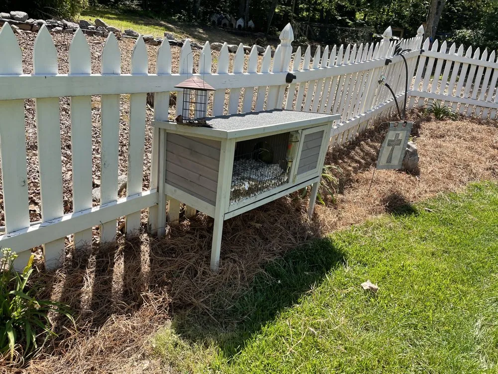 Affordable outdoor landscaping for residential properties in East Point, GA by 2 Men A Truck And A Trailer
