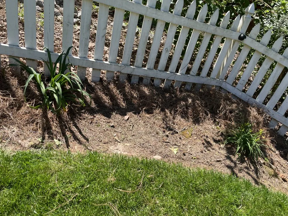 Custom lawn care service in East Point, GA by 2 Men A Truck And A Trailer