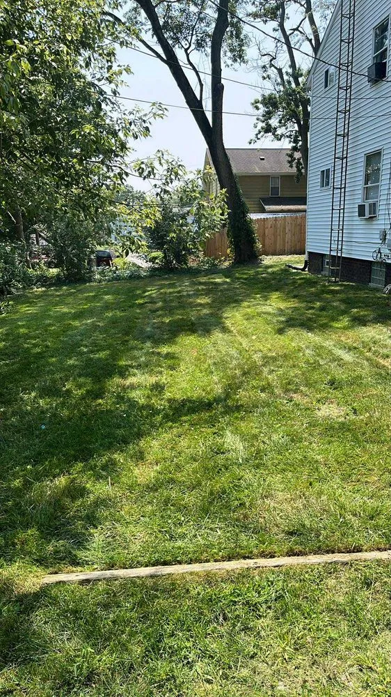 Affordable yard cleanup service for year-round maintenance across Canton, OH - 2 Men and A Yard