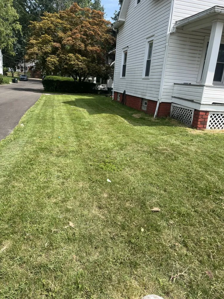 Expert residential landscaping experts serving Canton, OH - 2 Men and A Yard