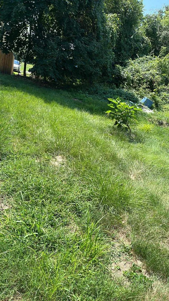 Affordable outdoor landscaping in Canton, OH by 2 Men and A Yard