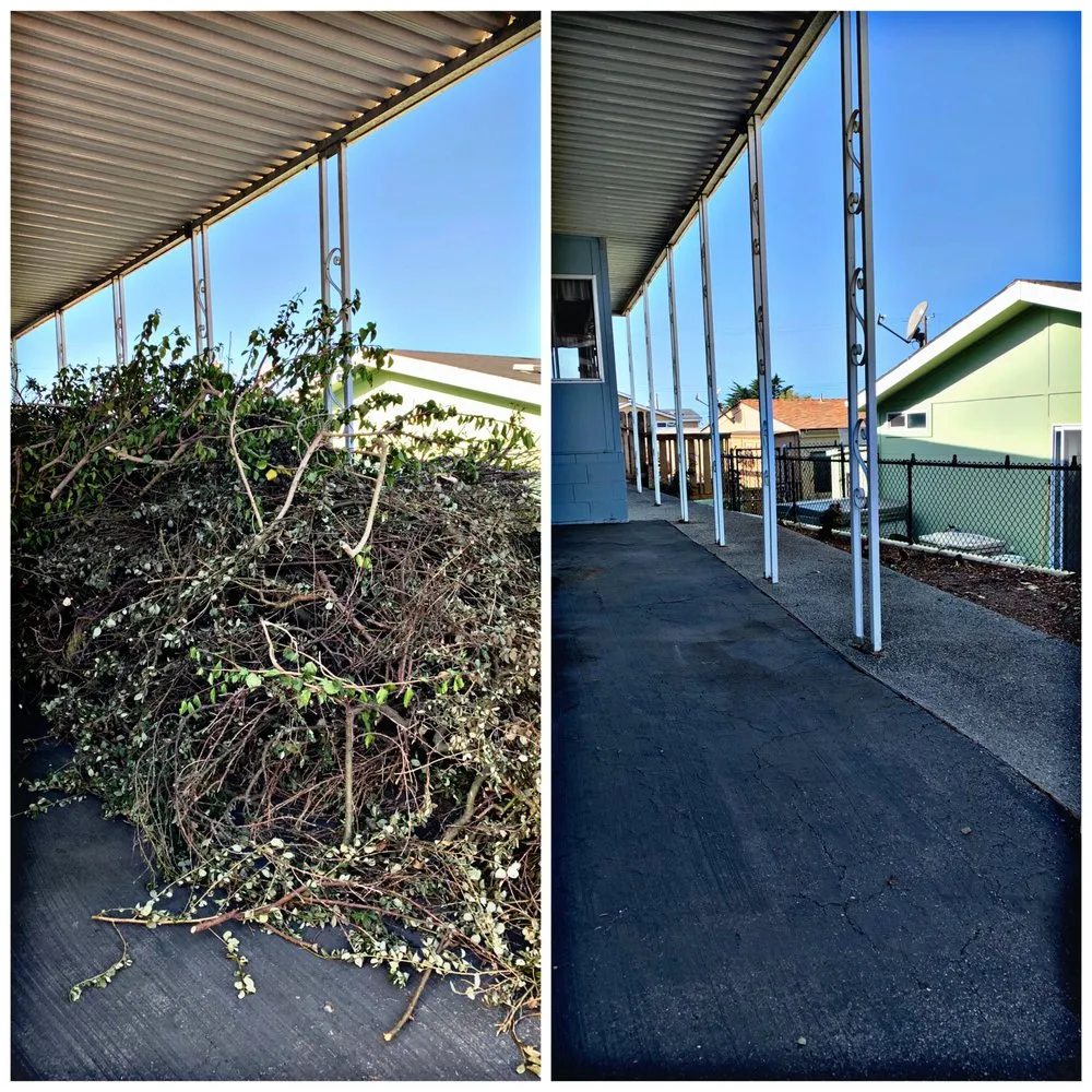 Trusted landscape design for residential properties in San Luis Obispo, CA by 2 Mexicans Junk Removal